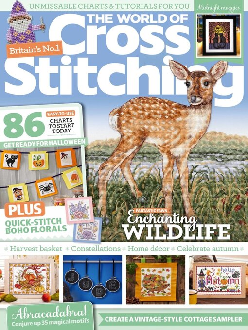 Cover image for The World of Cross Stitching